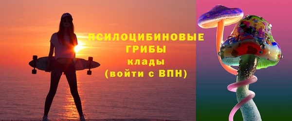 apvp Алексеевка