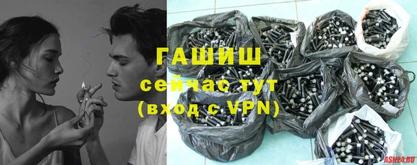 сатива Алзамай