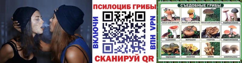 Псилоцибиновые грибы Cubensis  Арсеньев 